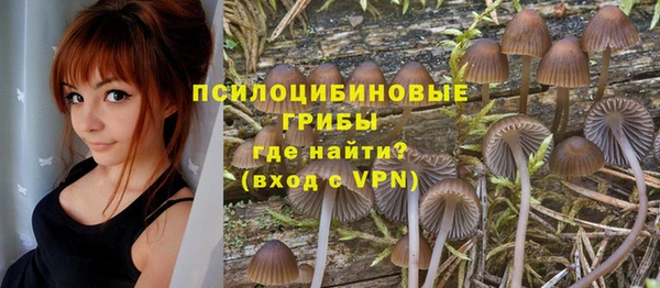 дмт Корсаков