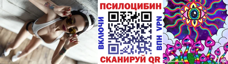 Купить закладки  Буй  Псилоцибиновые грибы Magic Shrooms 