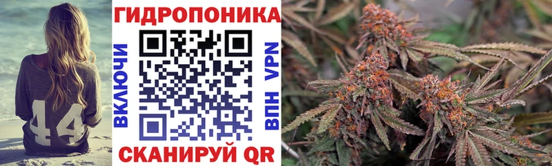 Купить  Буй  МАРИХУАНА Ganja 